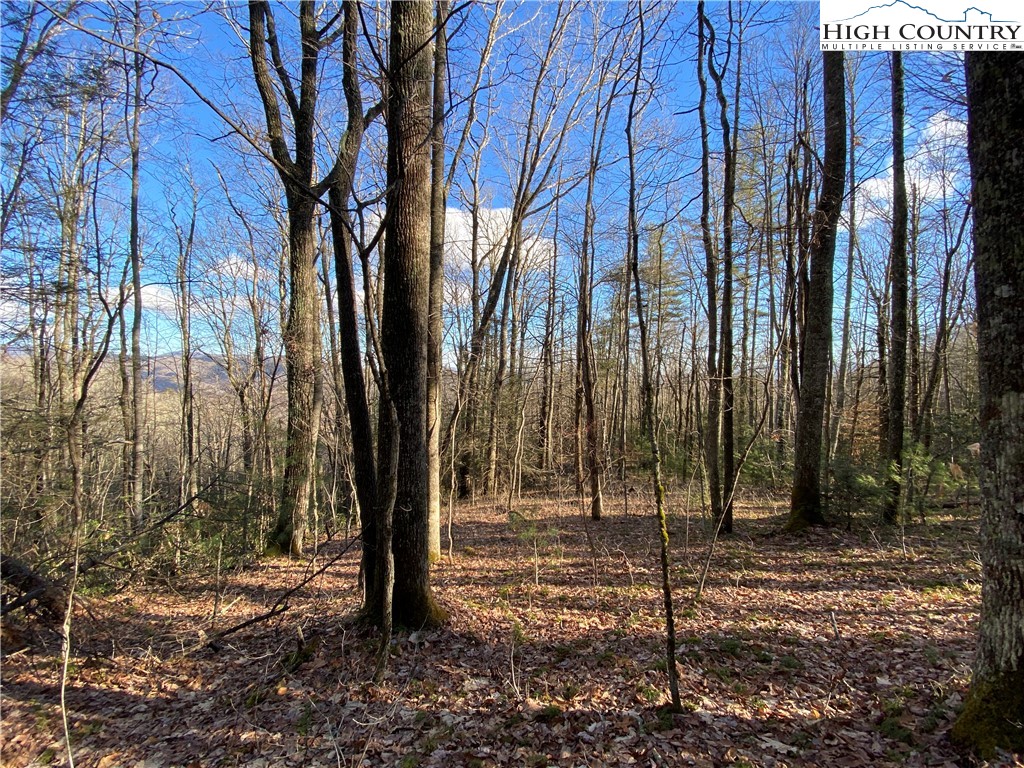 985 Locust Gap Road Vilas, NC 28692 - Photo 32 of 45 Gallery Image 32