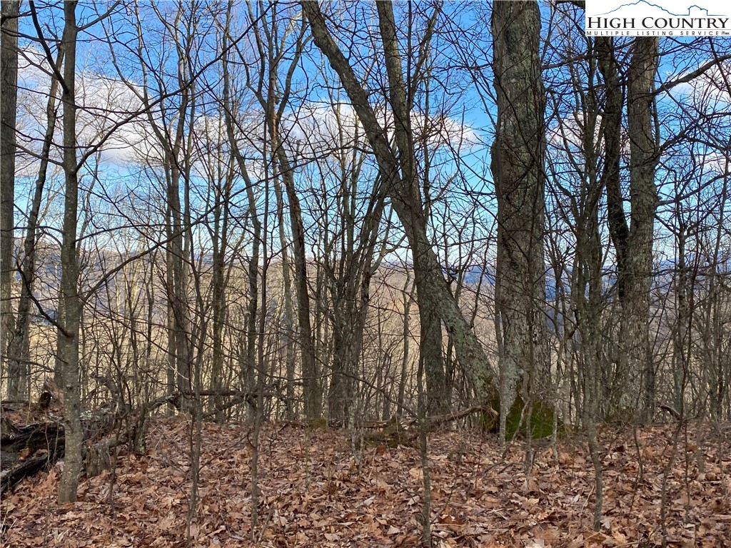 985 Locust Gap Road Vilas, NC 28692 - Photo 35 of 45 Gallery Image 35