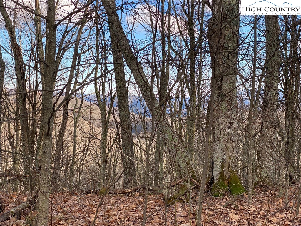 985 Locust Gap Road Vilas, NC 28692 - Photo 36 of 45 Gallery Image 36