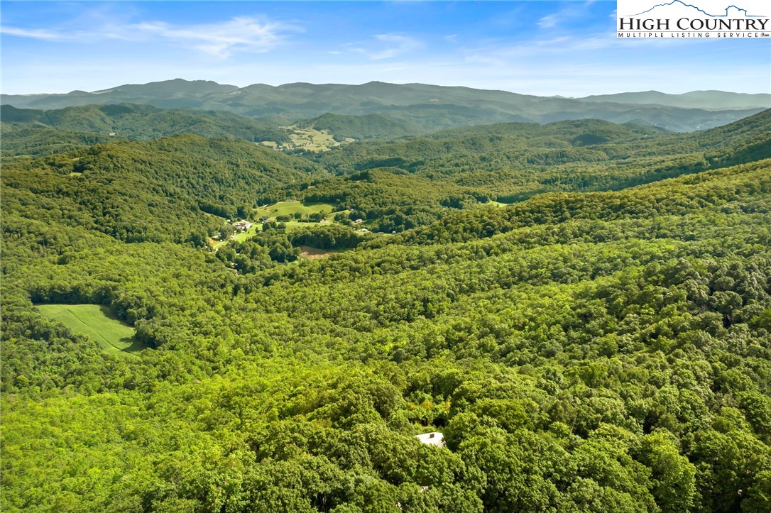 985 Locust Gap Road Vilas, NC 28692 - Photo 4 of 45 Gallery Image 4