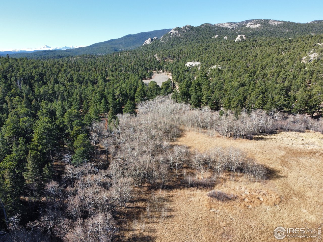 0 Bunce School Road Lyons, CO 80540 - Photo 21 of 23 a view of a dry yard with green space
