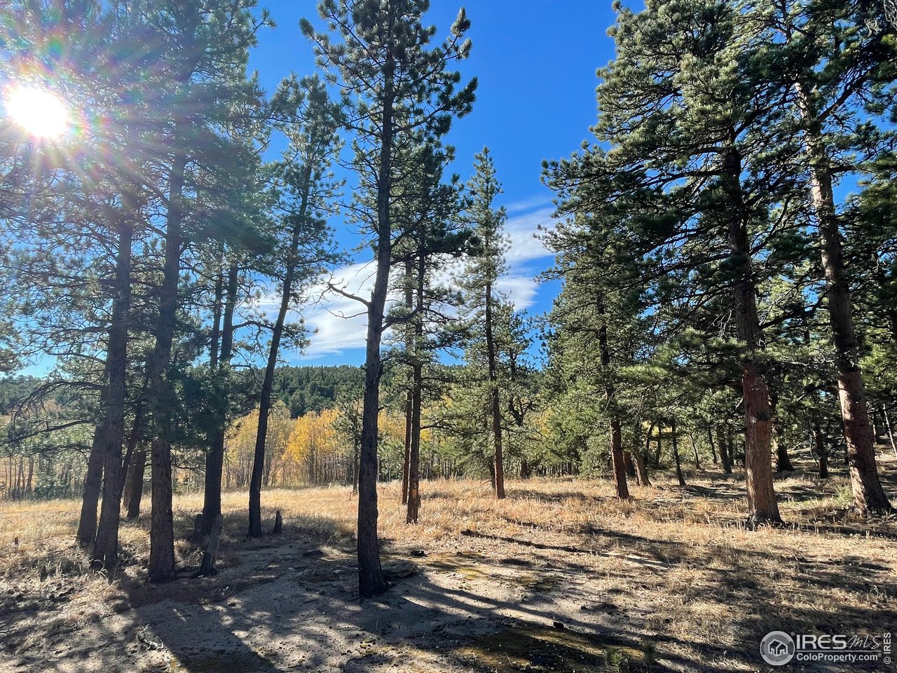 0 Bunce School Road Lyons, CO 80540 - Photo 3 of 23 a view of a yard with trees