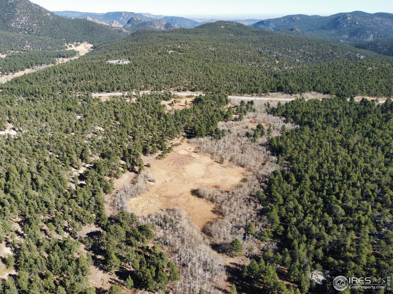 0 Bunce School Road Lyons, CO 80540 - Photo 5 of 23 a view of a yard with a tree