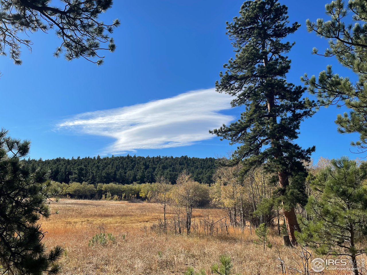 0 Bunce School Road Lyons, CO 80540 - Photo 8 of 23 a view of a outdoor space