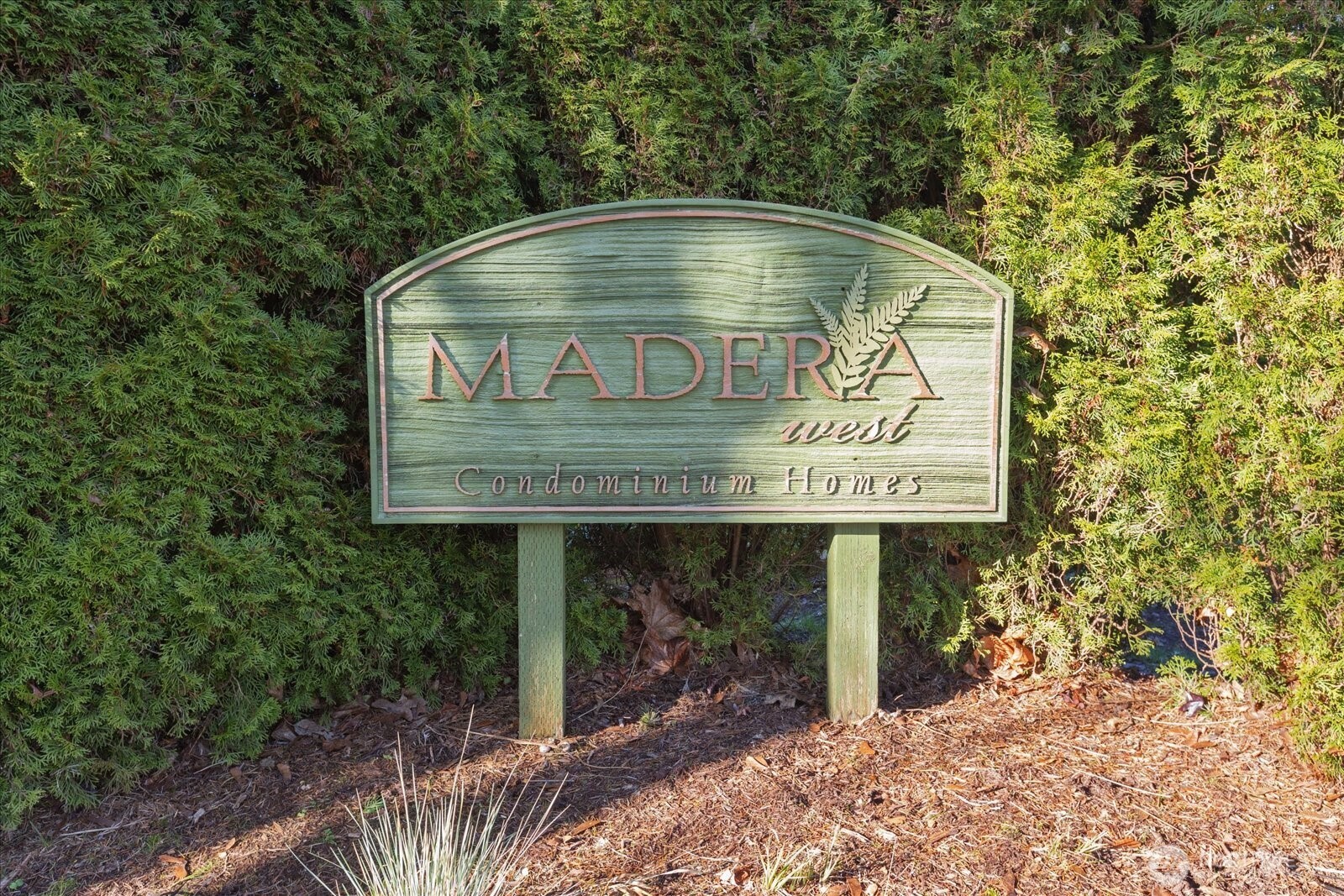 31500 33rd Place Southwest, Unit E201 Federal Way, WA 98023 - Photo 4 of 27