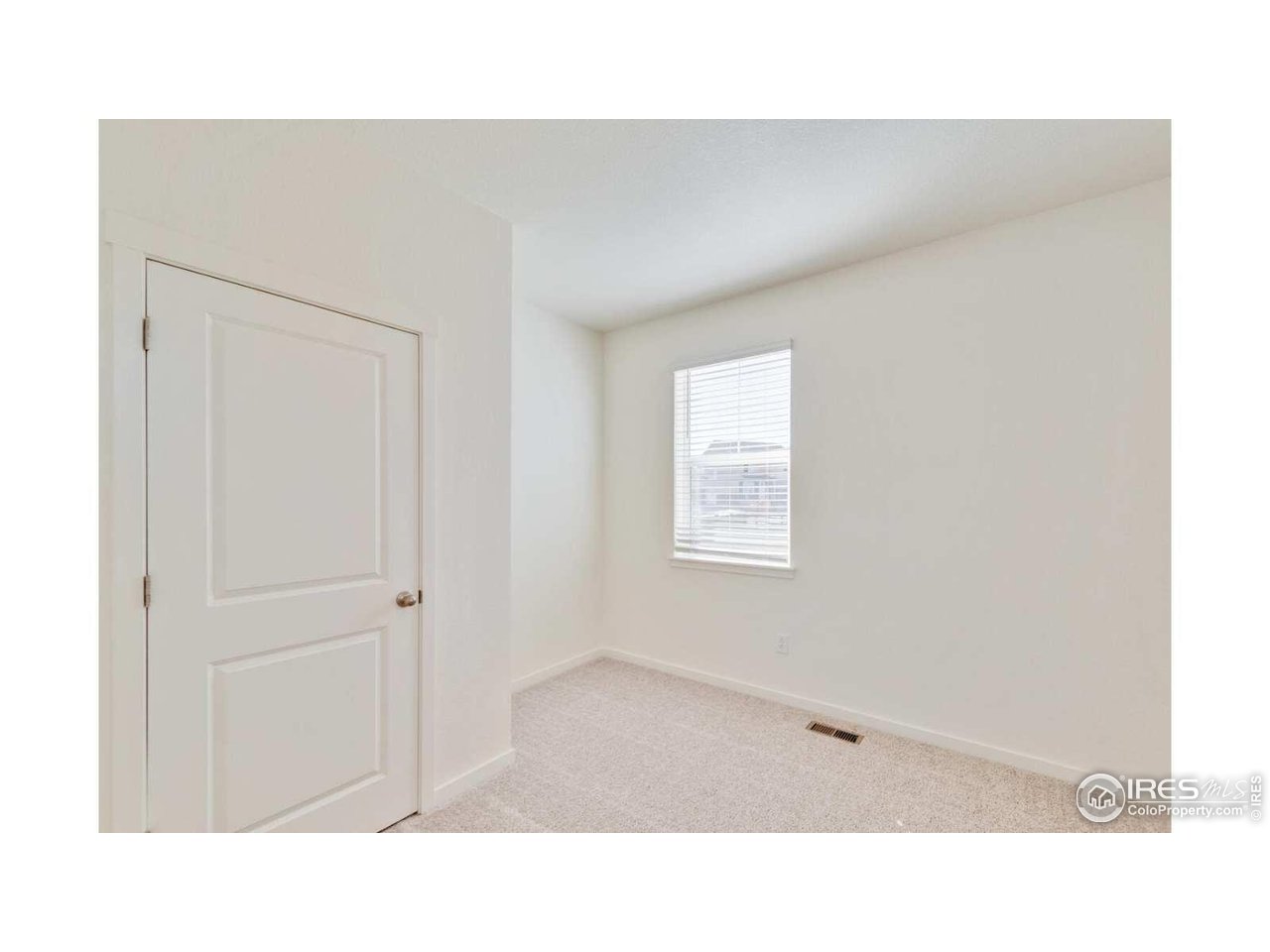 849 Trumpet Lane Windsor, CO 80550 - Photo 11 of 23