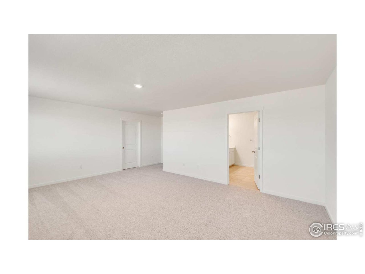 849 Trumpet Lane Windsor, CO 80550 - Photo 15 of 23