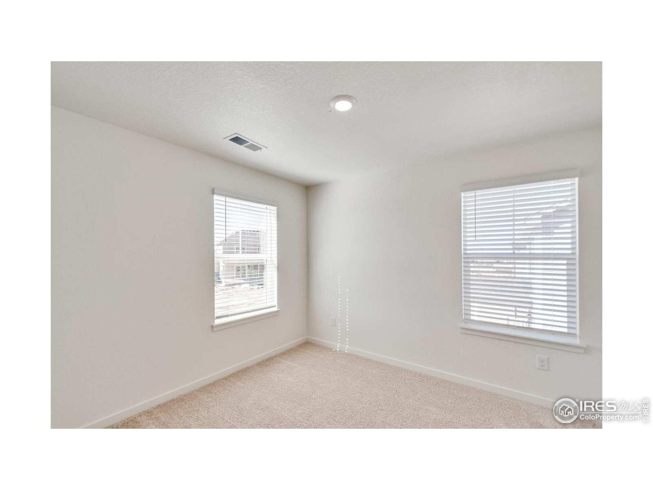 849 Trumpet Lane Windsor, CO 80550 - Photo 18 of 23
