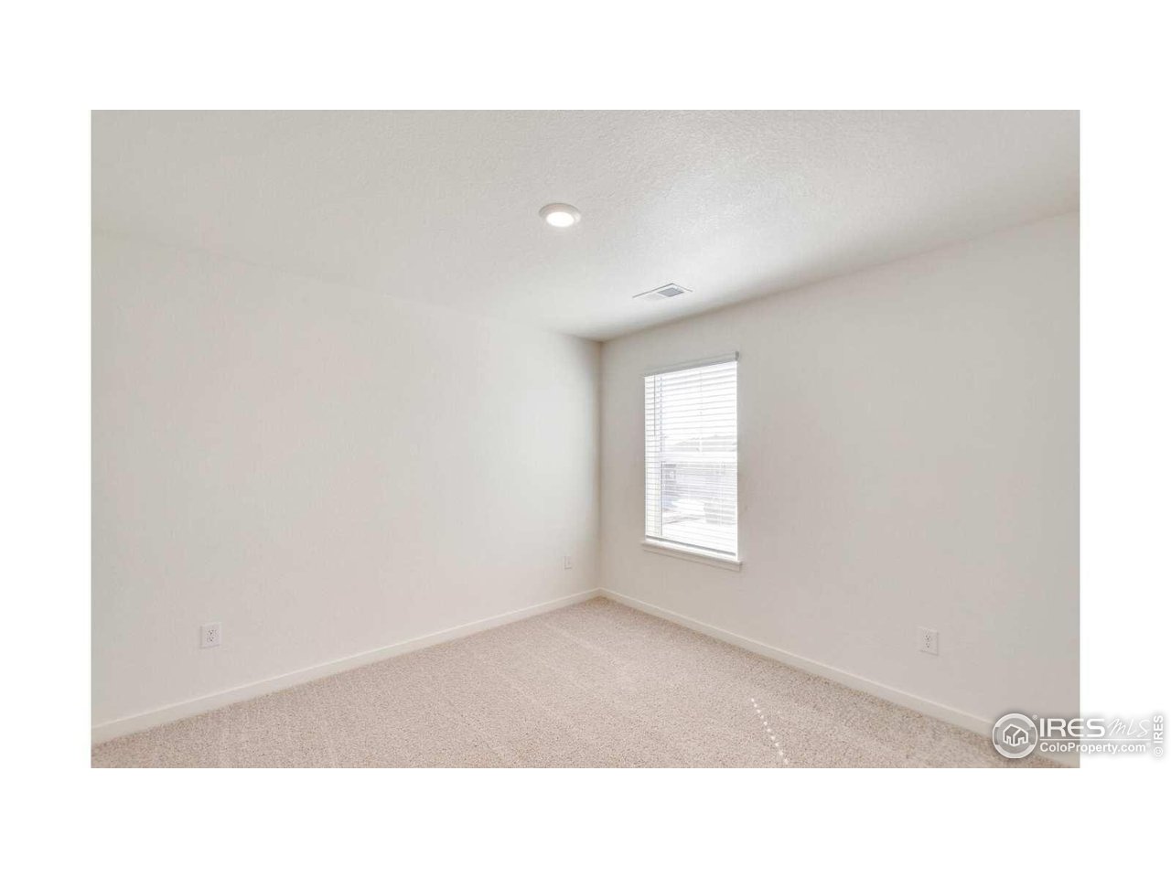 849 Trumpet Lane Windsor, CO 80550 - Photo 19 of 23