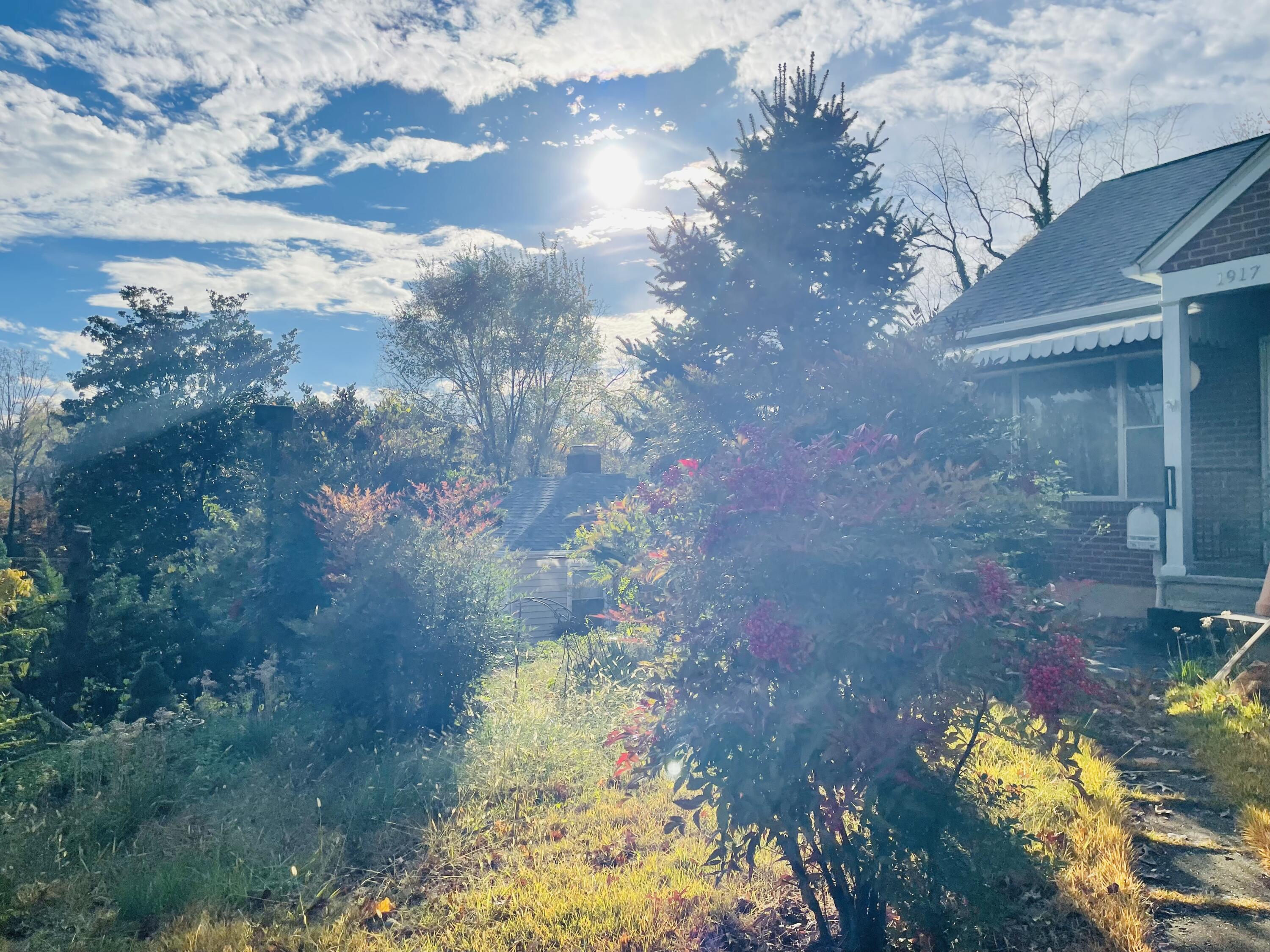1917 Langdon Road Southwest Roanoke, VA 24015 - Photo 3 of 54 a view of a yard