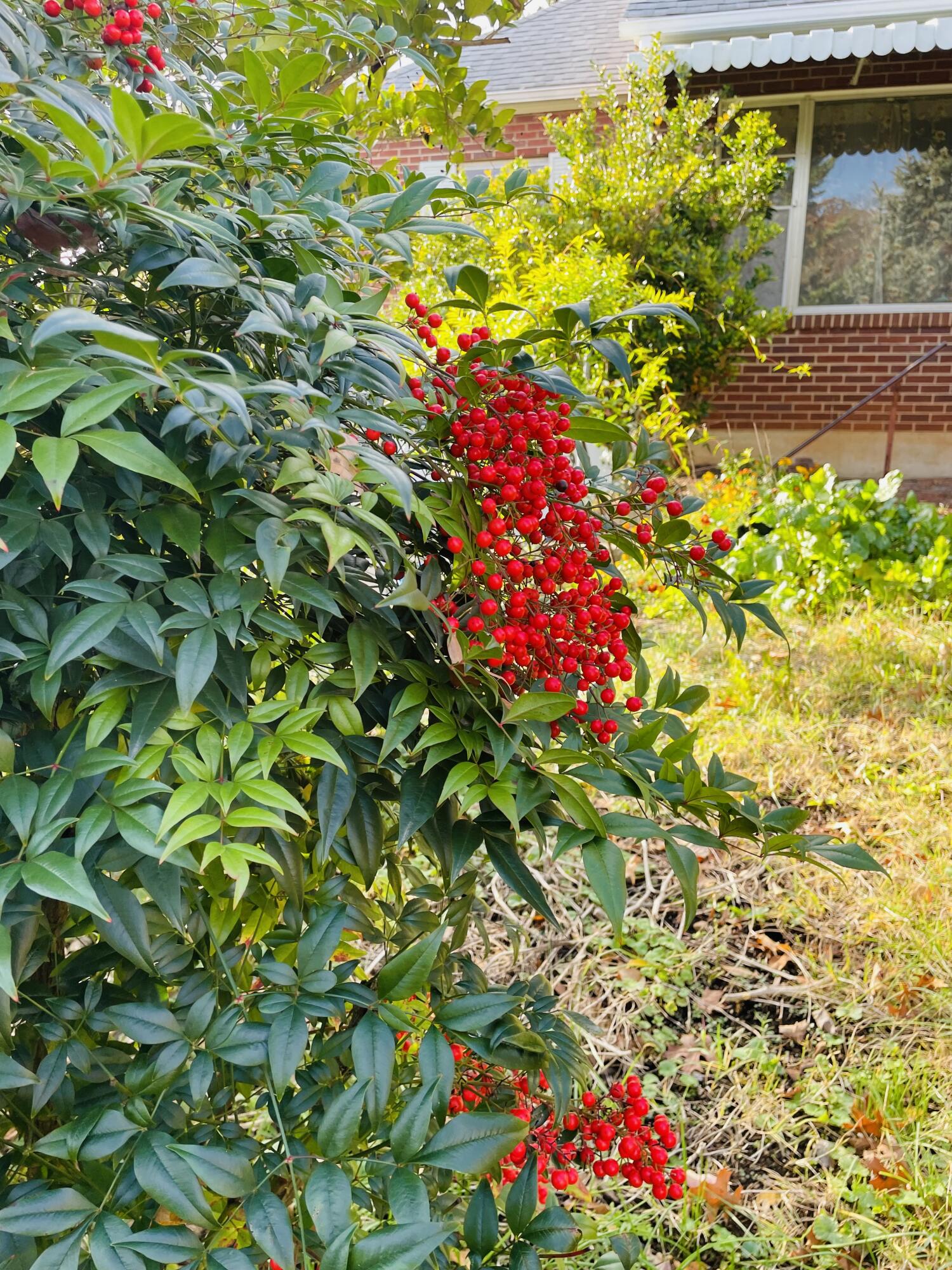 1917 Langdon Road Southwest Roanoke, VA 24015 - Photo 39 of 54