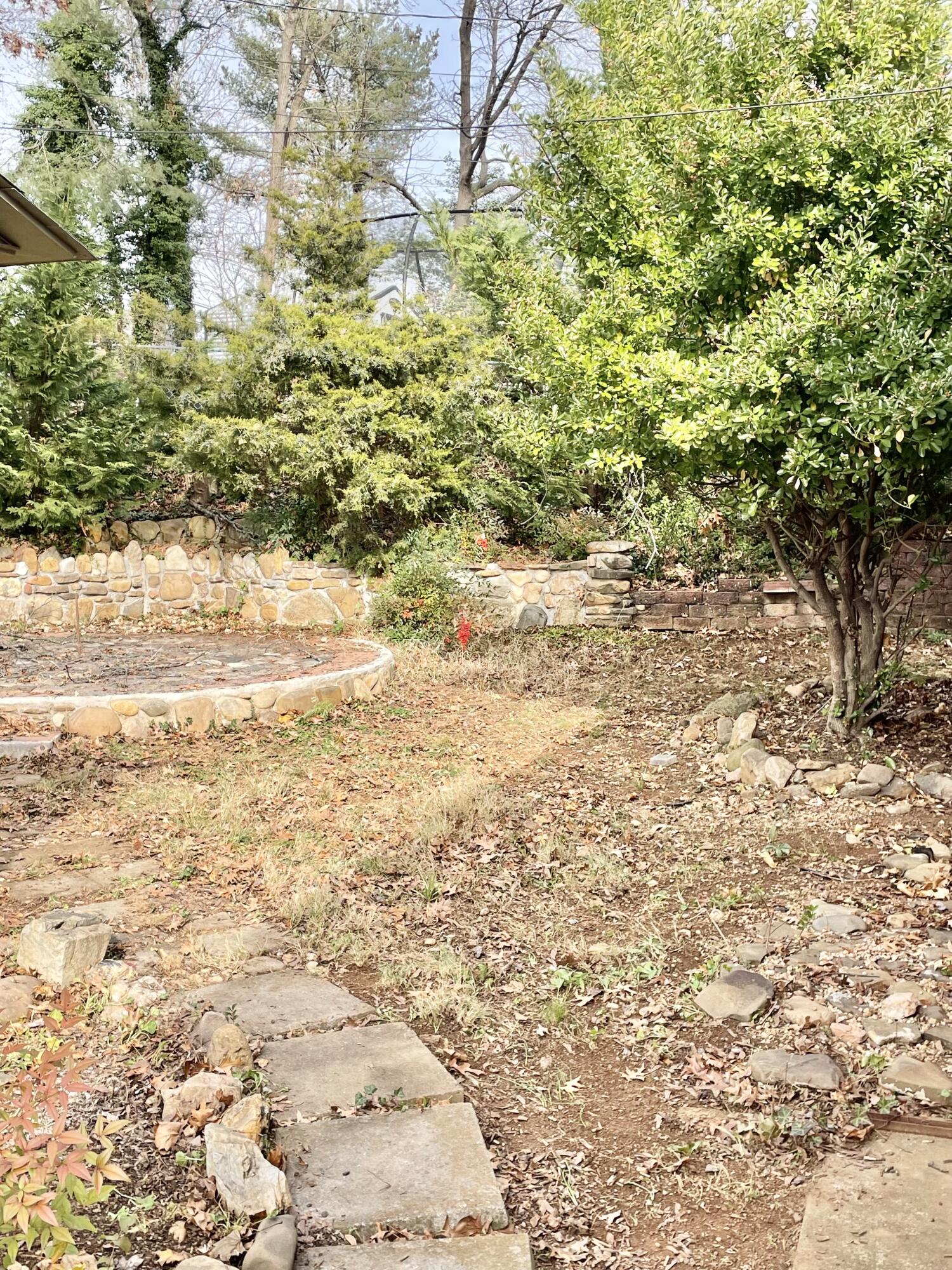 1917 Langdon Road Southwest Roanoke, VA 24015 - Photo 47 of 54 yard around back