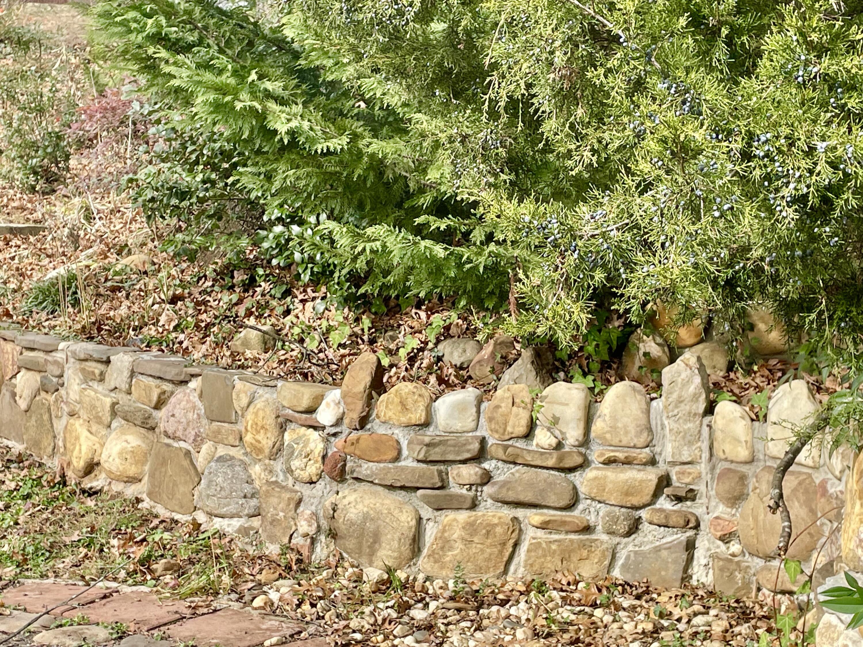 1917 Langdon Road Southwest Roanoke, VA 24015 - Photo 49 of 54 rock walls