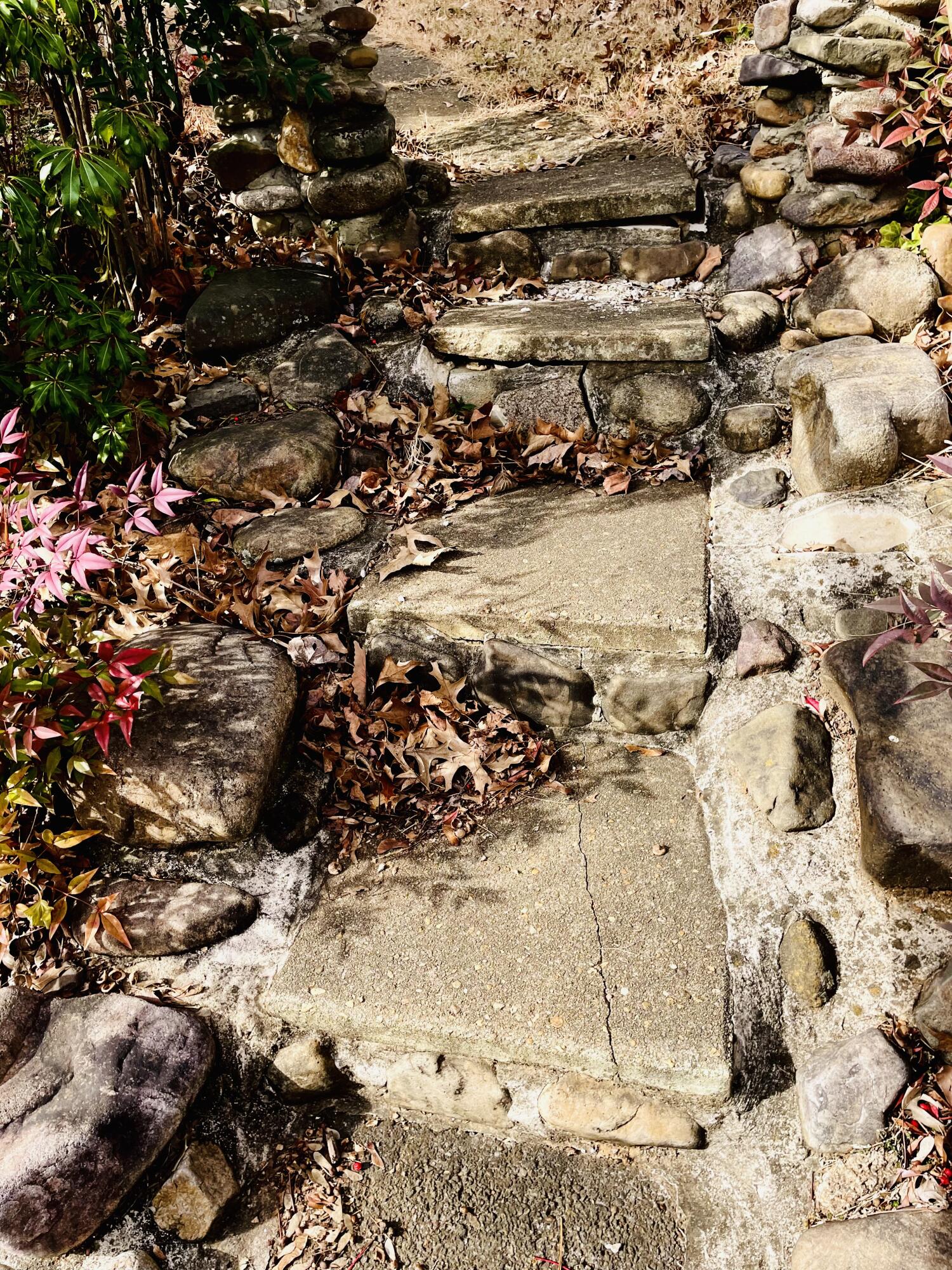 1917 Langdon Road Southwest Roanoke, VA 24015 - Photo 51 of 54 rock steps from road