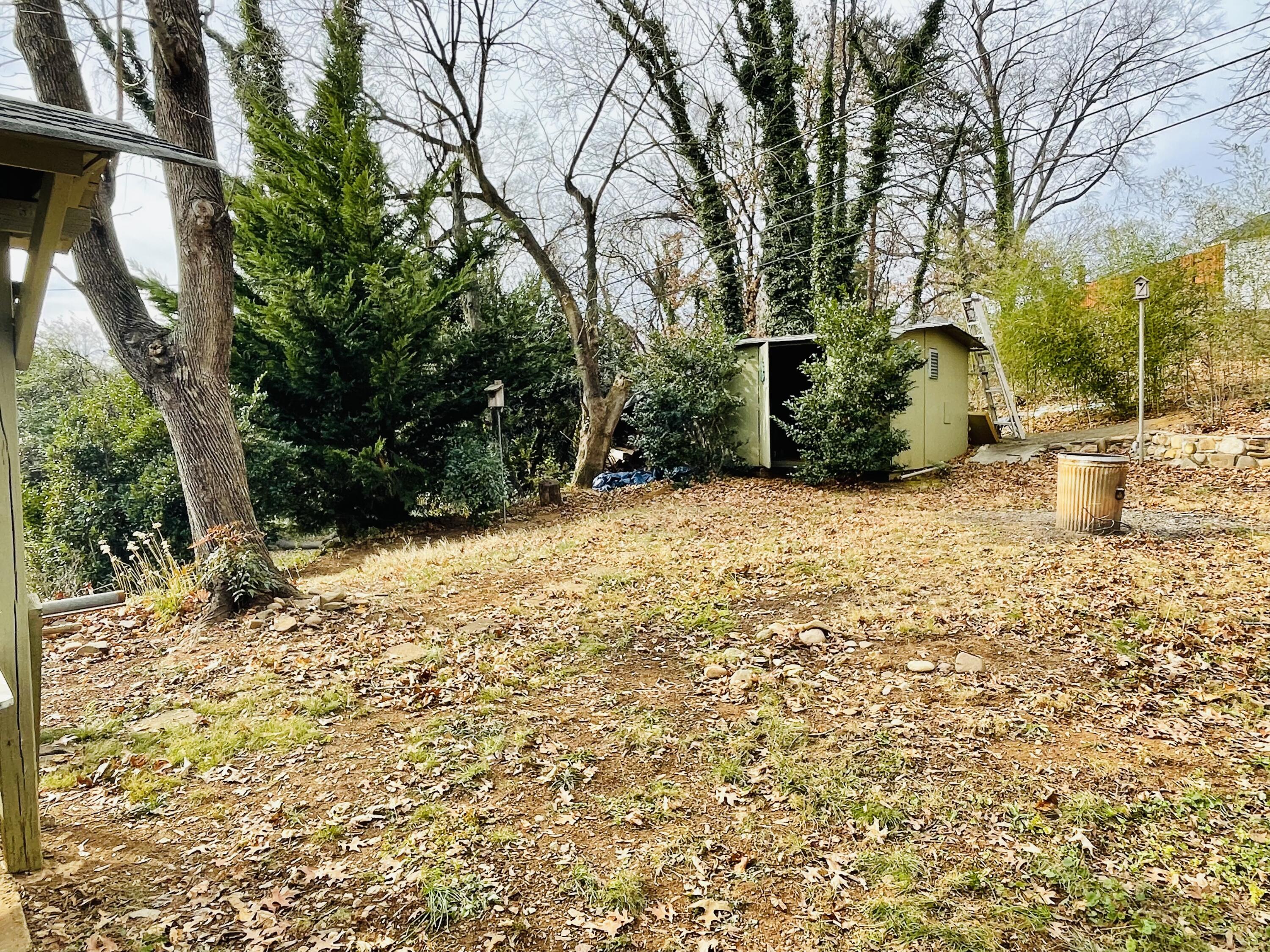 1917 Langdon Road Southwest Roanoke, VA 24015 - Photo 52 of 54 a view of a yard with plants and trees