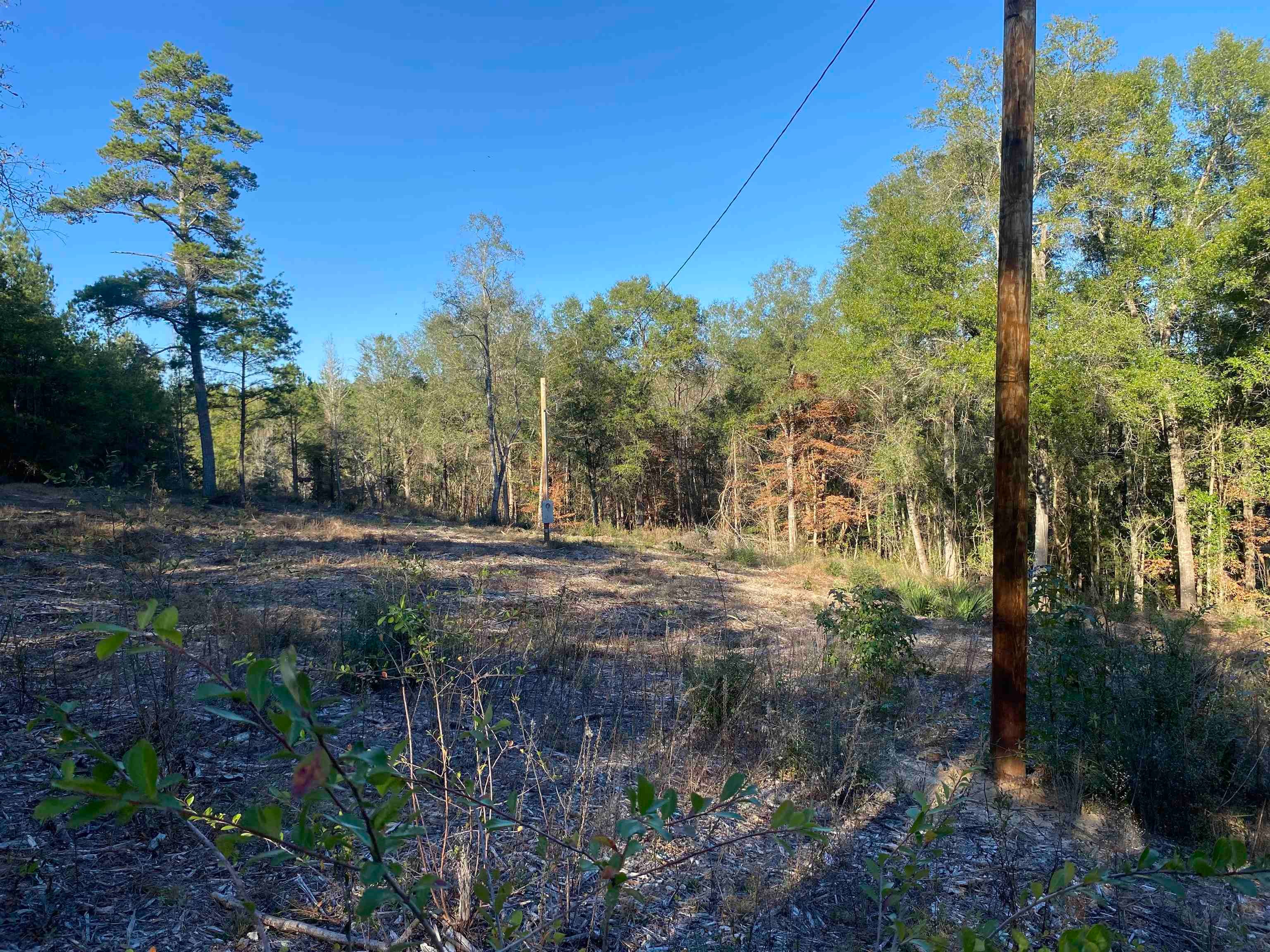 4217 Ard Creek Road Red Level, AL 36474 - Photo 15 of 15 Gallery Image 15