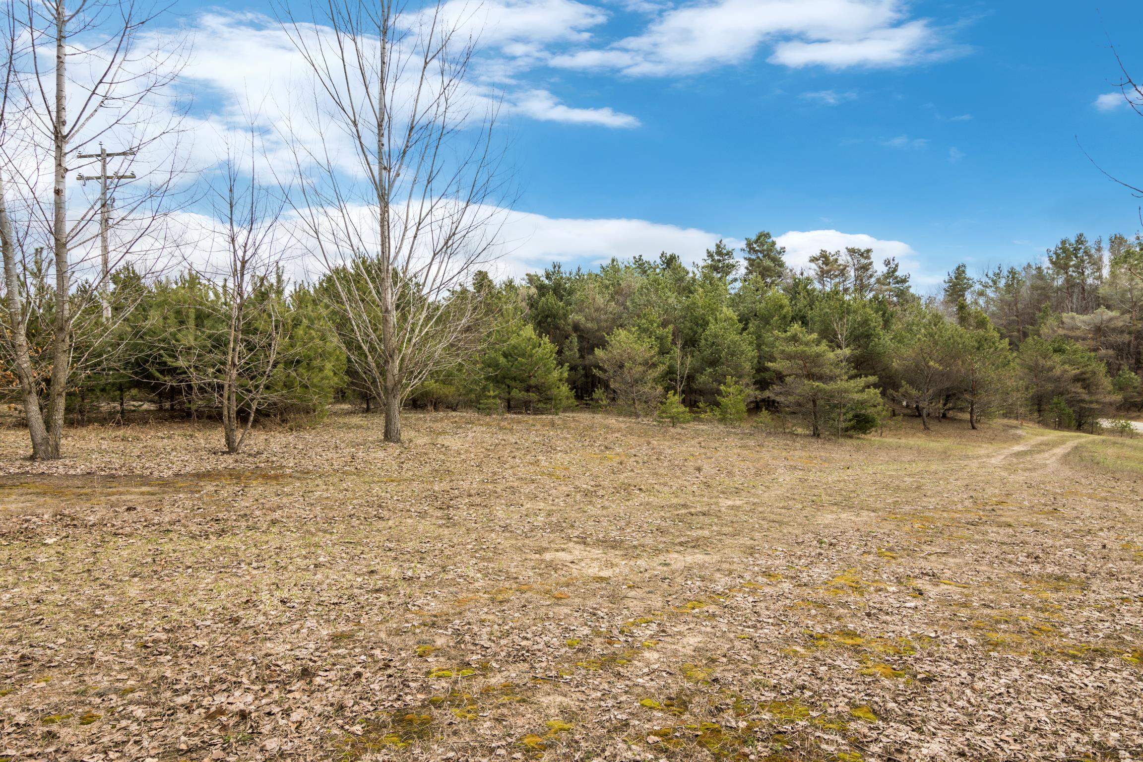 0 Case Road Beulah, MI 46917 - Photo 8 of 14