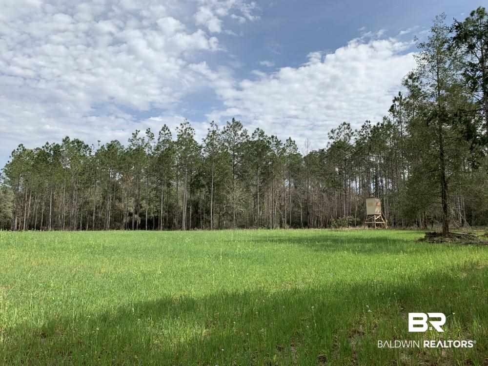 17525 Joe Gottler Road Elberta, AL 36530 - Photo 3 of 44