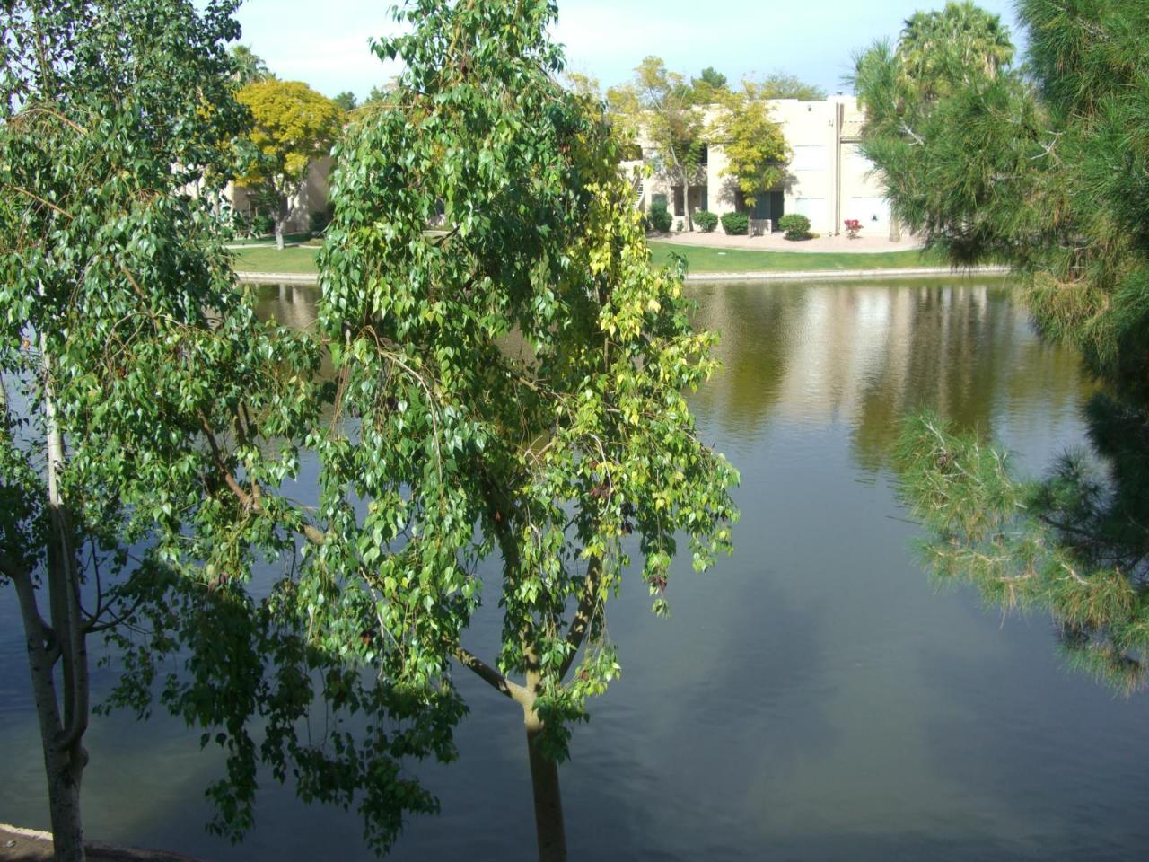 1825 West Ray Road, Unit 2108 Chandler, AZ 85224 - Photo 5 of 5 VIEWS