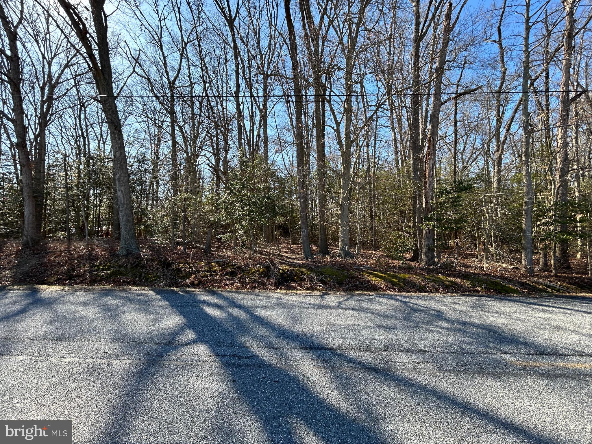 0 Church Road Salem, NJ 08079 - Photo 3 of 5 a view of a park that has large trees