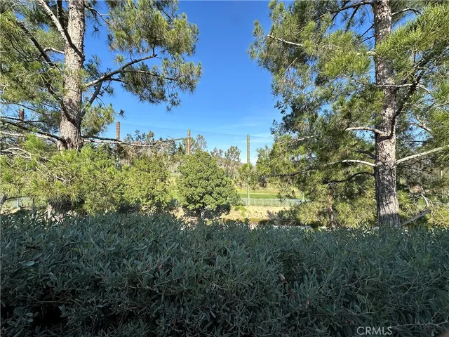 a view of a tree with a yard