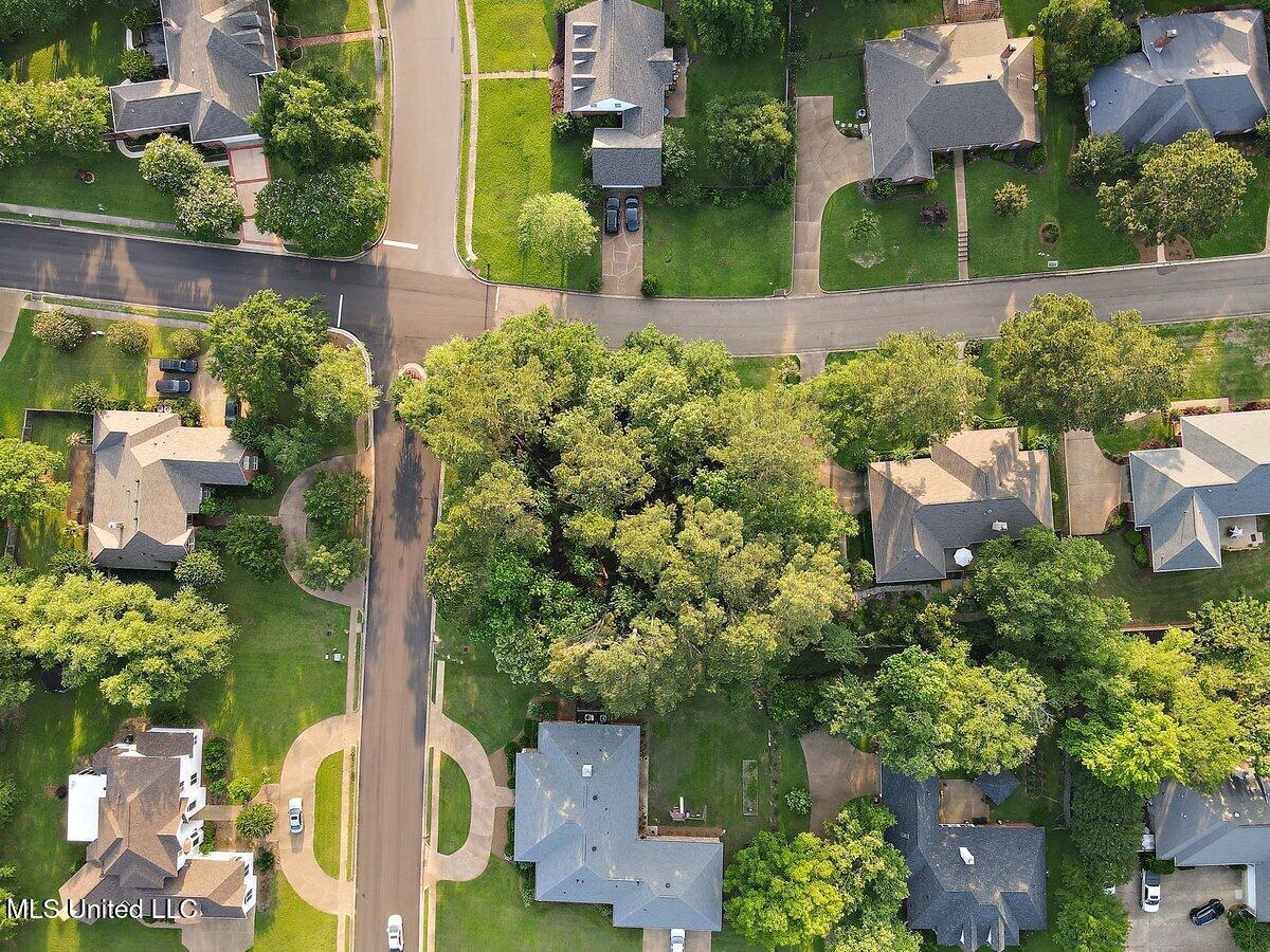 Thorngate Drive Brandon, MS 39042 - Photo 11 of 15 DJI_0896