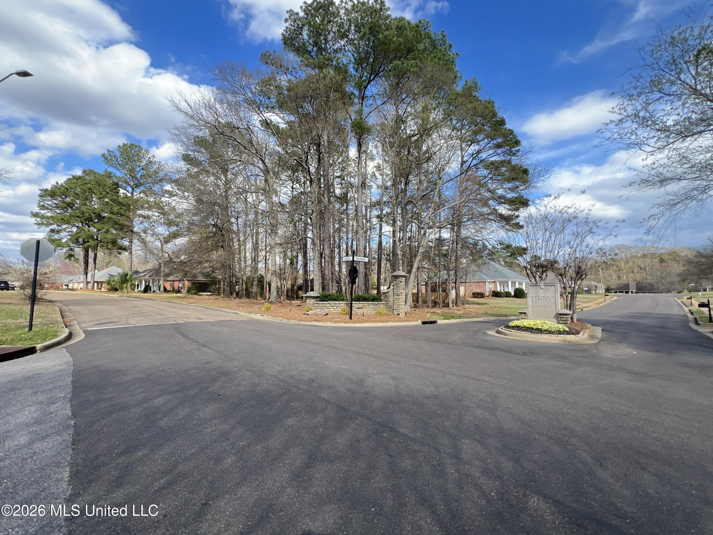 Thorngate Drive Brandon, MS 39042 - Photo 2 of 15 IMG_9663