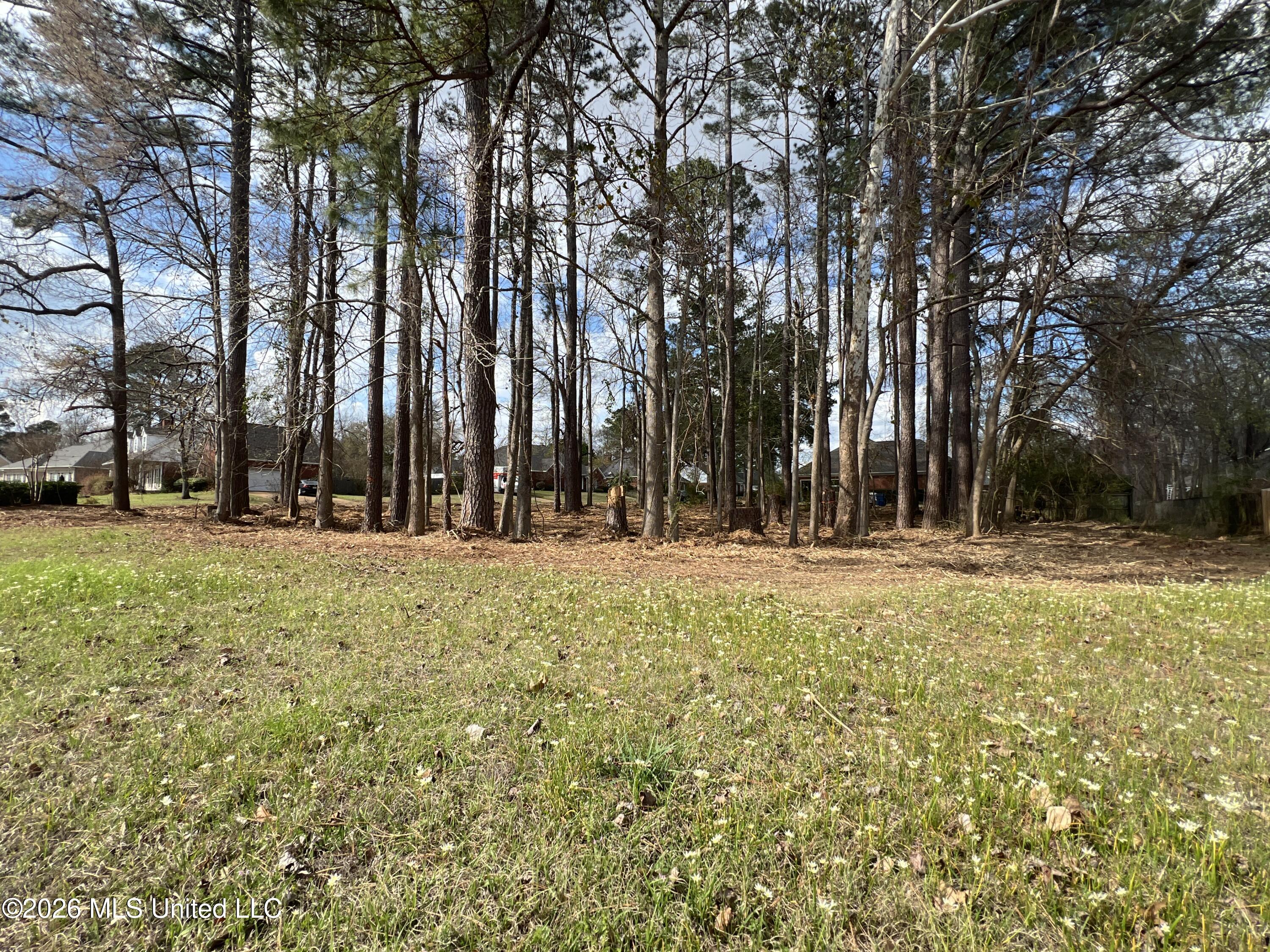 Thorngate Drive Brandon, MS 39042 - Photo 4 of 15 IMG_9650