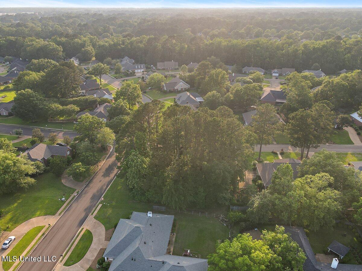Thorngate Drive Brandon, MS 39042 - Photo 4 of 8 DJI_0893