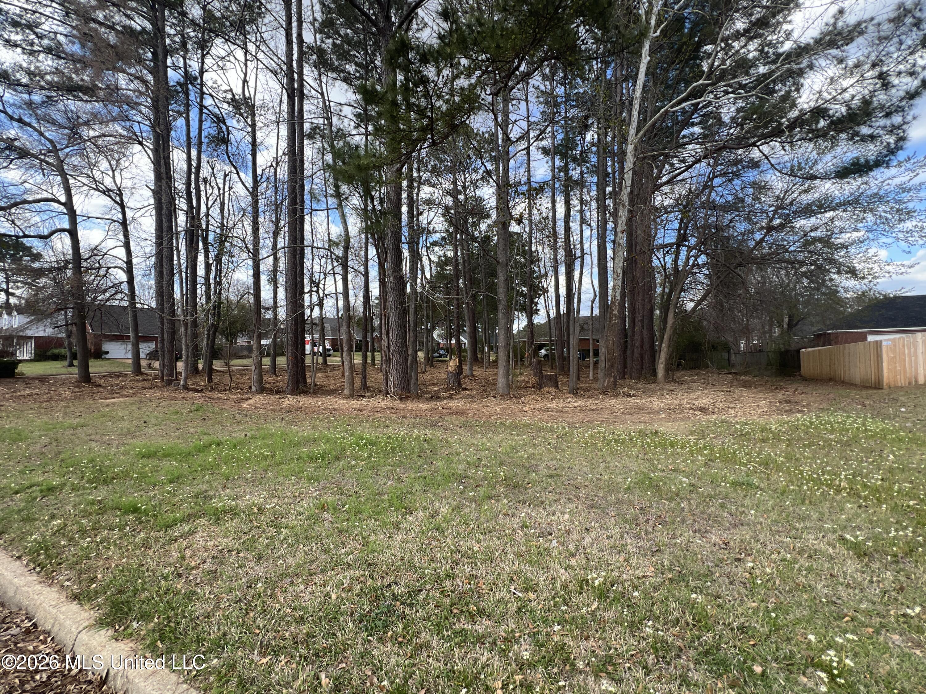 Thorngate Drive Brandon, MS 39042 - Photo 5 of 15 IMG_9649