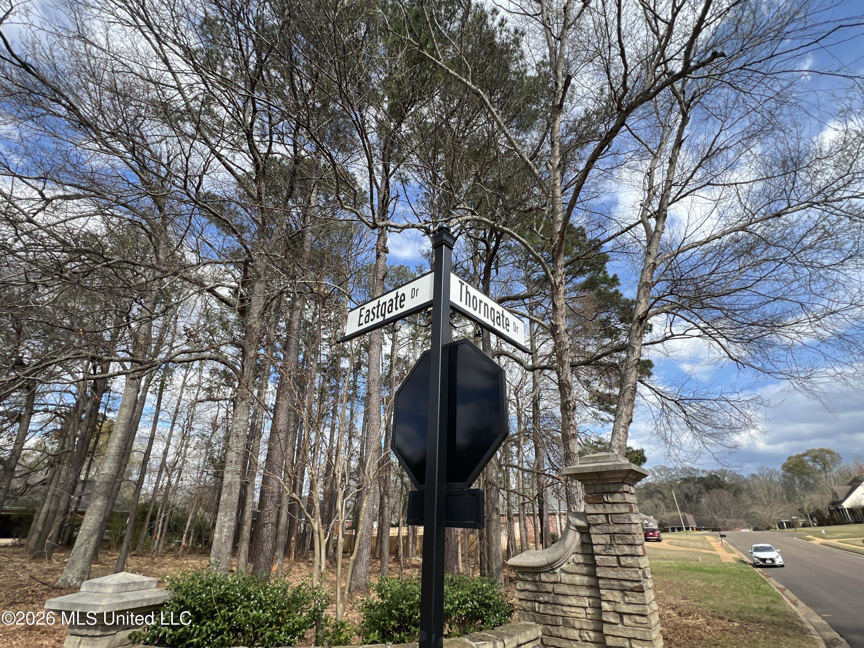 Thorngate Drive Brandon, MS 39042 - Photo 6 of 15 IMG_9651