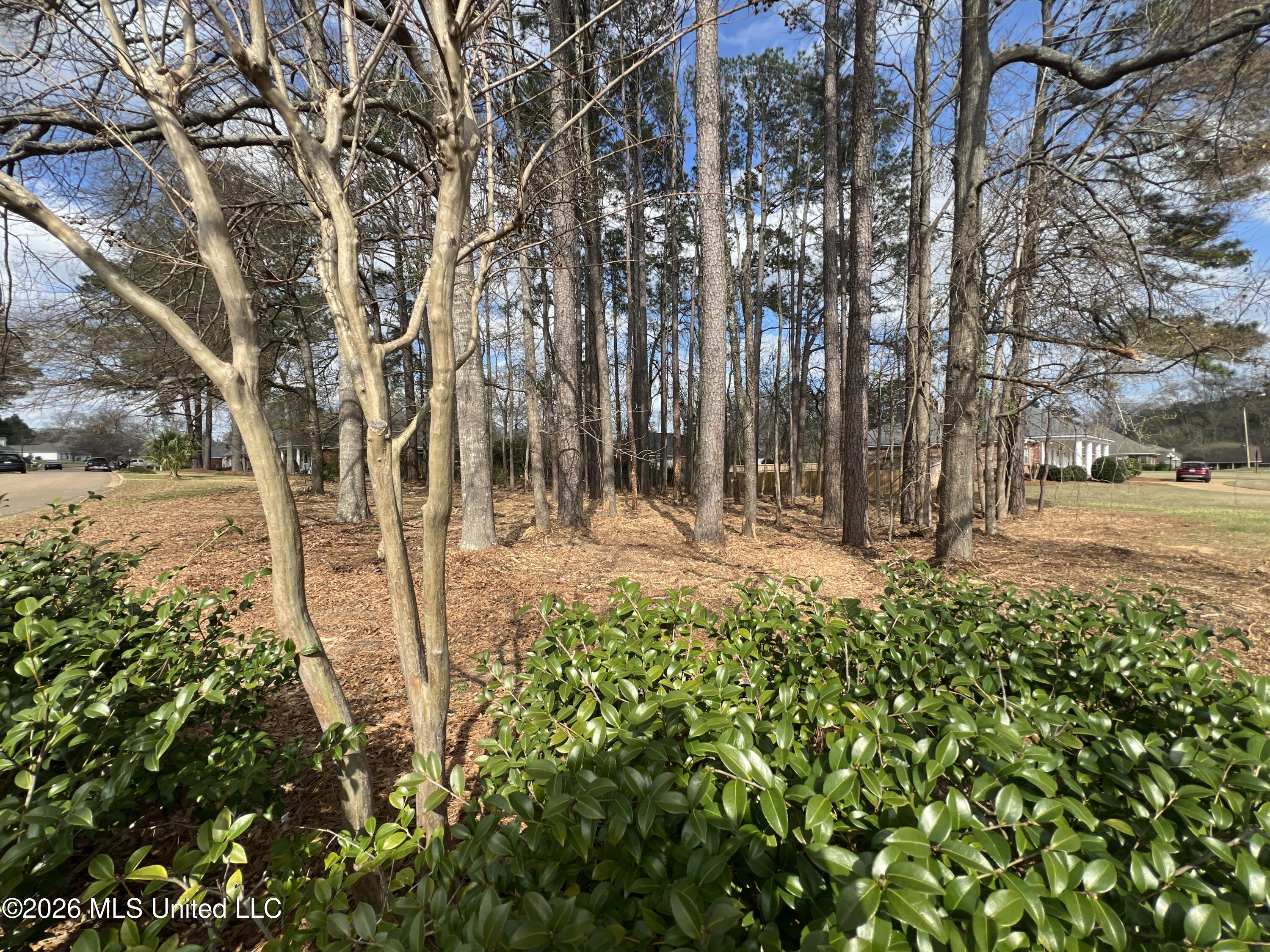 Thorngate Drive Brandon, MS 39042 - Photo 7 of 15 IMG_9652