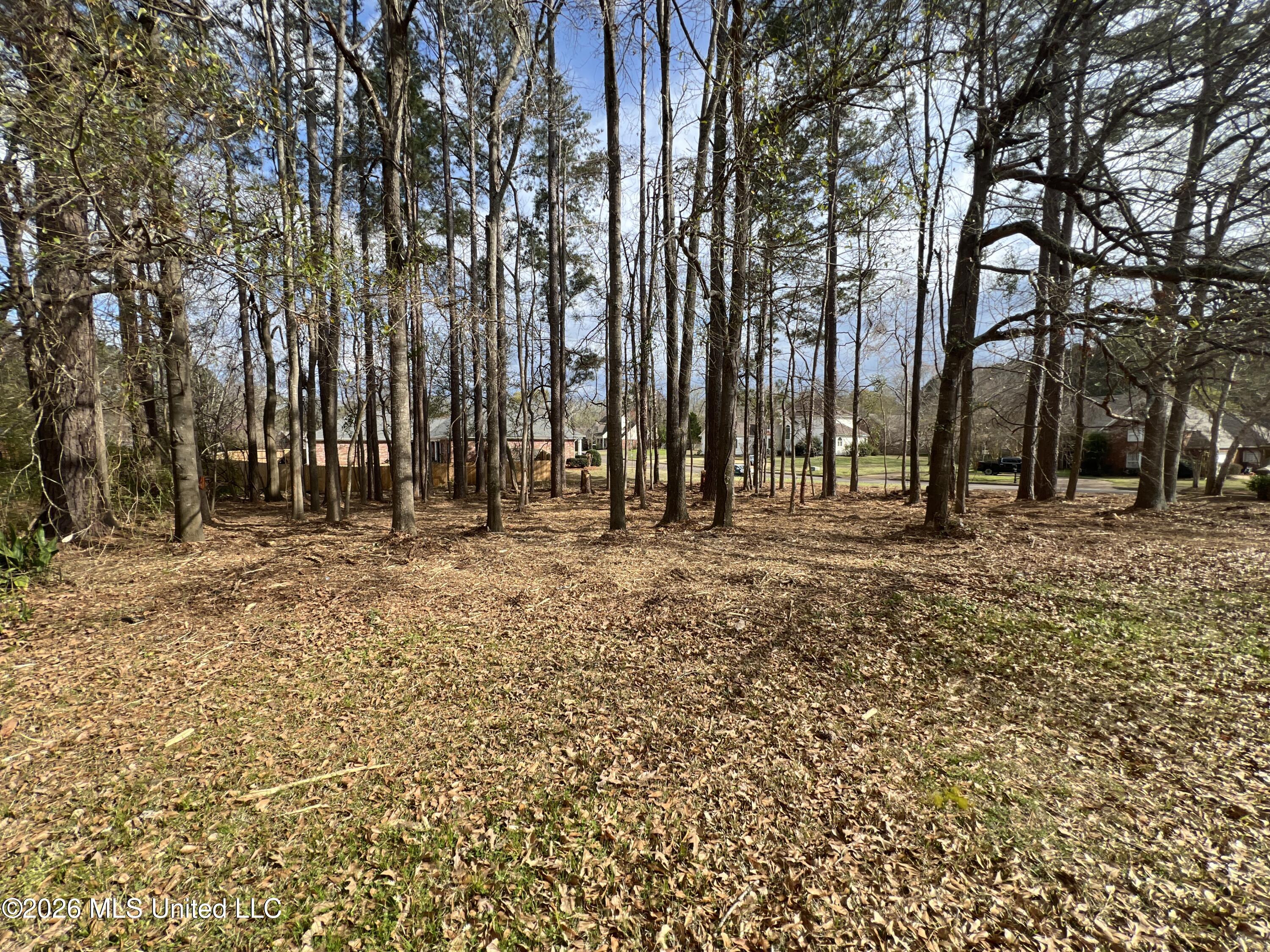 Thorngate Drive Brandon, MS 39042 - Photo 8 of 15 IMG_9654