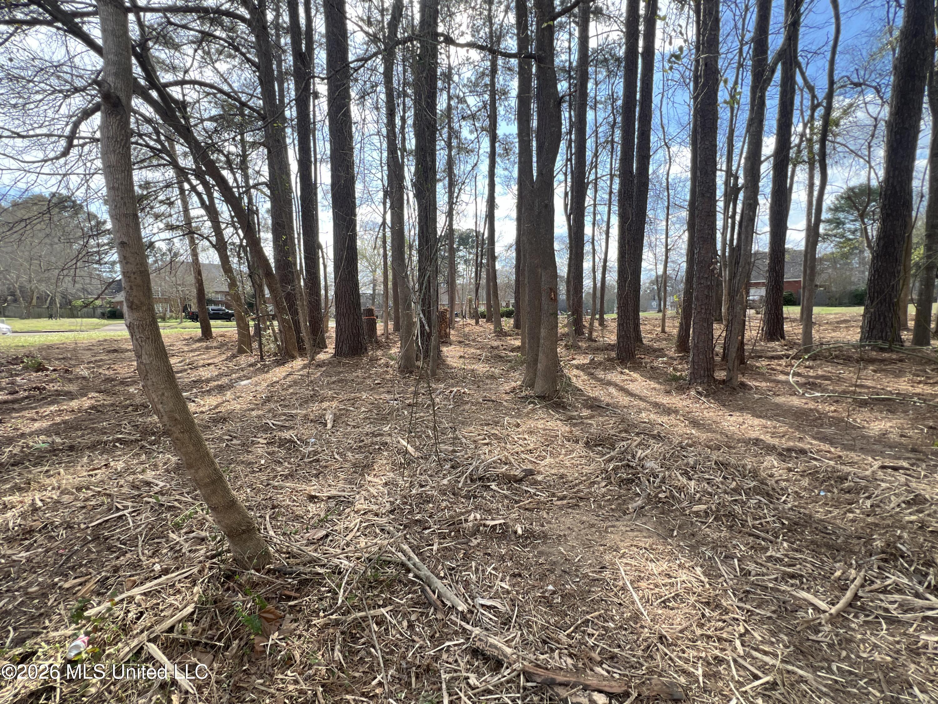 Thorngate Drive Brandon, MS 39042 - Photo 10 of 15 IMG_9658