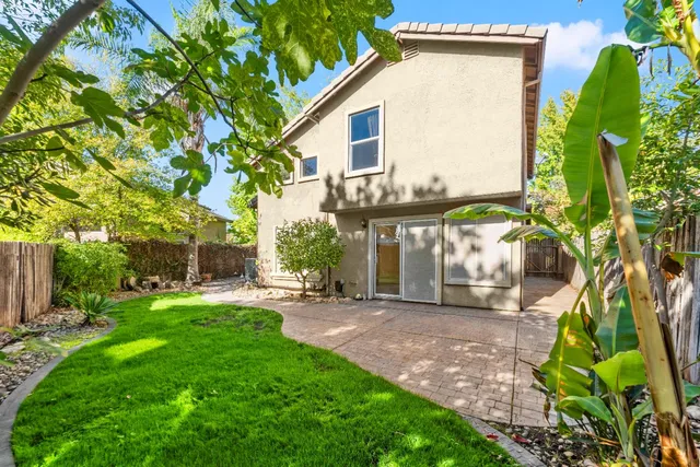 a view of a backyard with plants and a patio