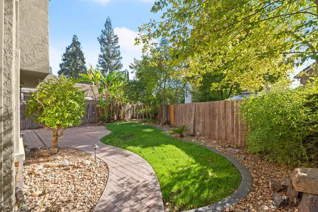 a view of a backyard with plants and large trees