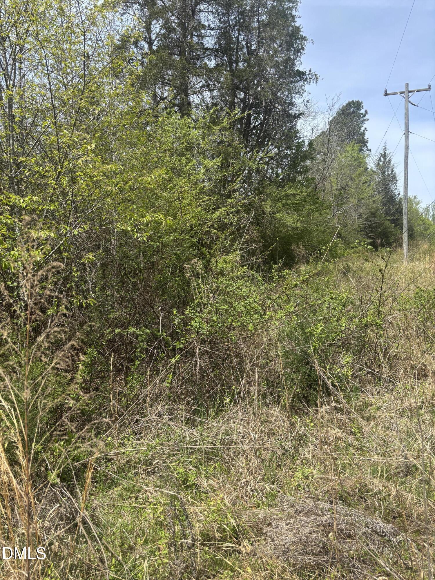 0 Blanchard Road Burlington, NC 27217 - Photo 2 of 10 Gallery Image 2