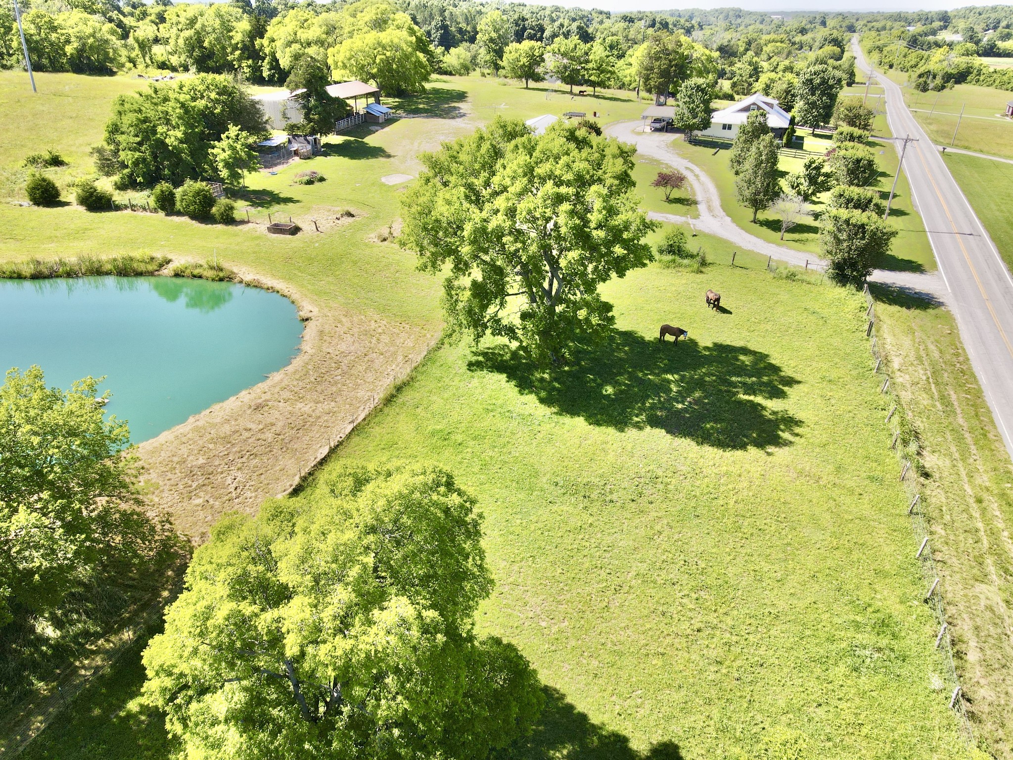 1559 Springplace Road Lewisburg, TN 37091 - Photo 3 of 44