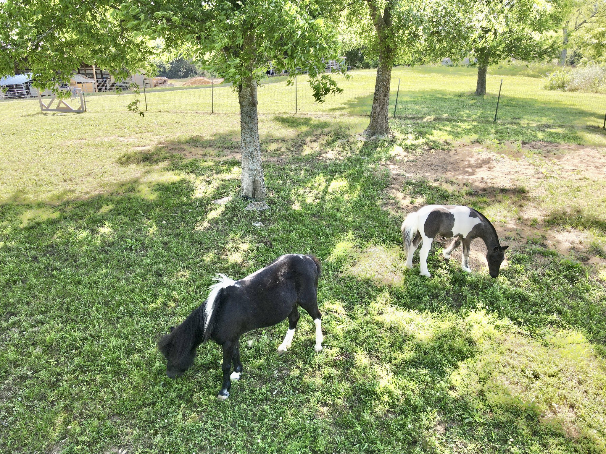 1559 Springplace Road Lewisburg, TN 37091 - Photo 41 of 44