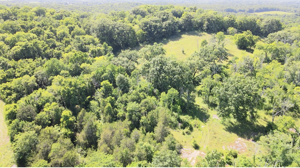 1559 Springplace Road Lewisburg, TN 37091 - Photo 42 of 44