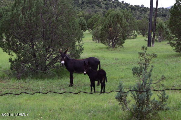 Umpire Ranch Road Elgin, AZ 85611 - Photo 24 of 27