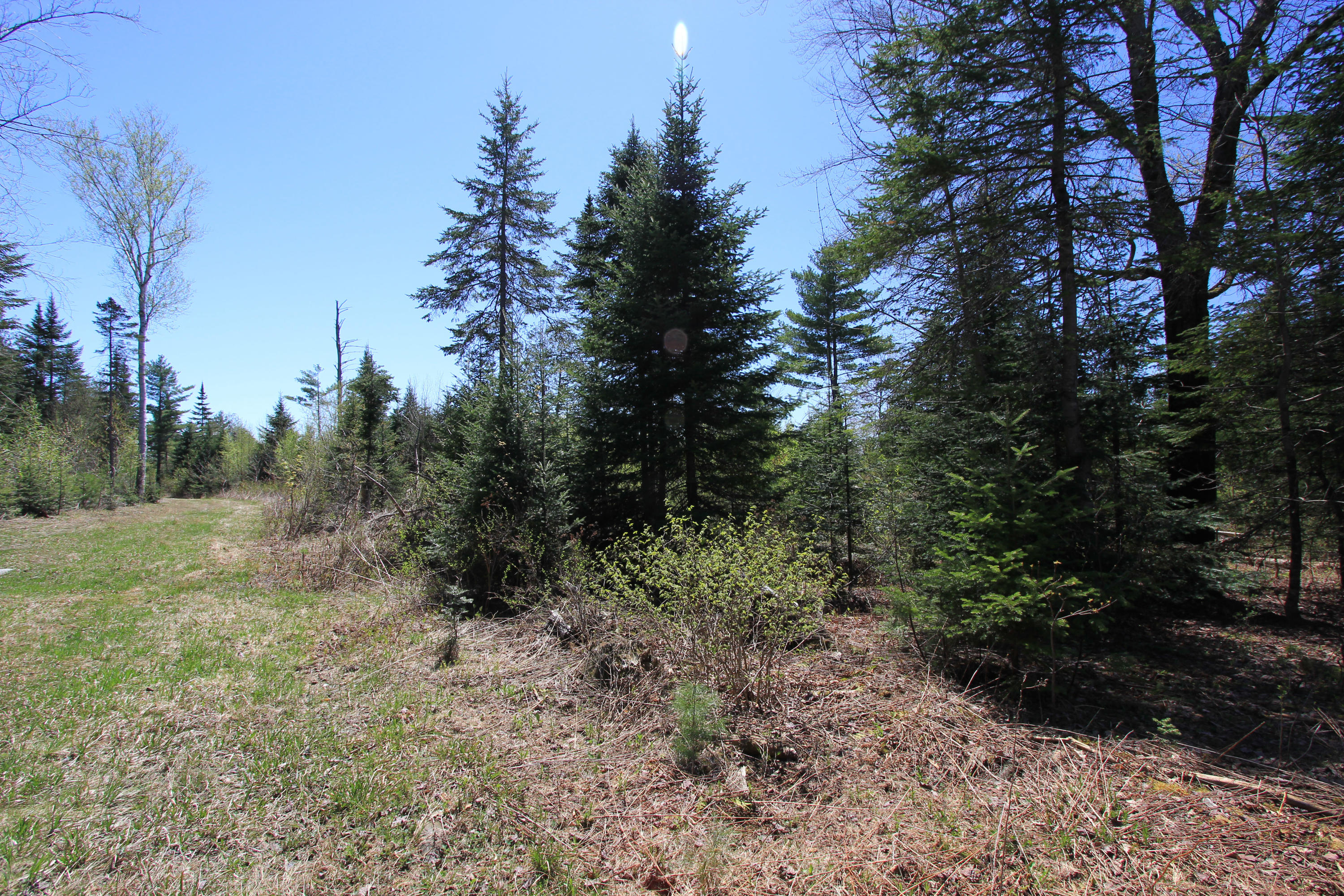 21 Robbins Road Madison, ME 04950 - Photo 36 of 51 IMG_0005