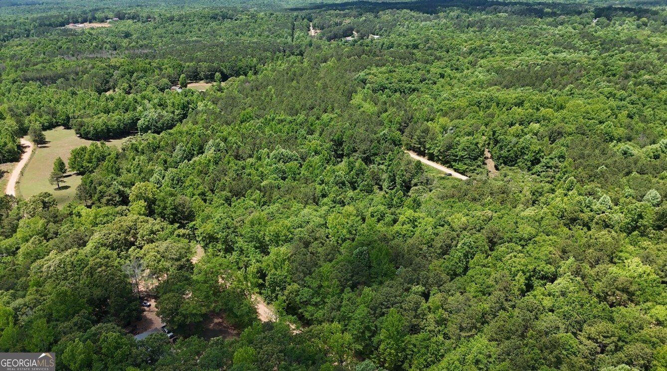 0 Creek Road, Unit LOT 8 Ashland, AL 36251 - Photo 17 of 25