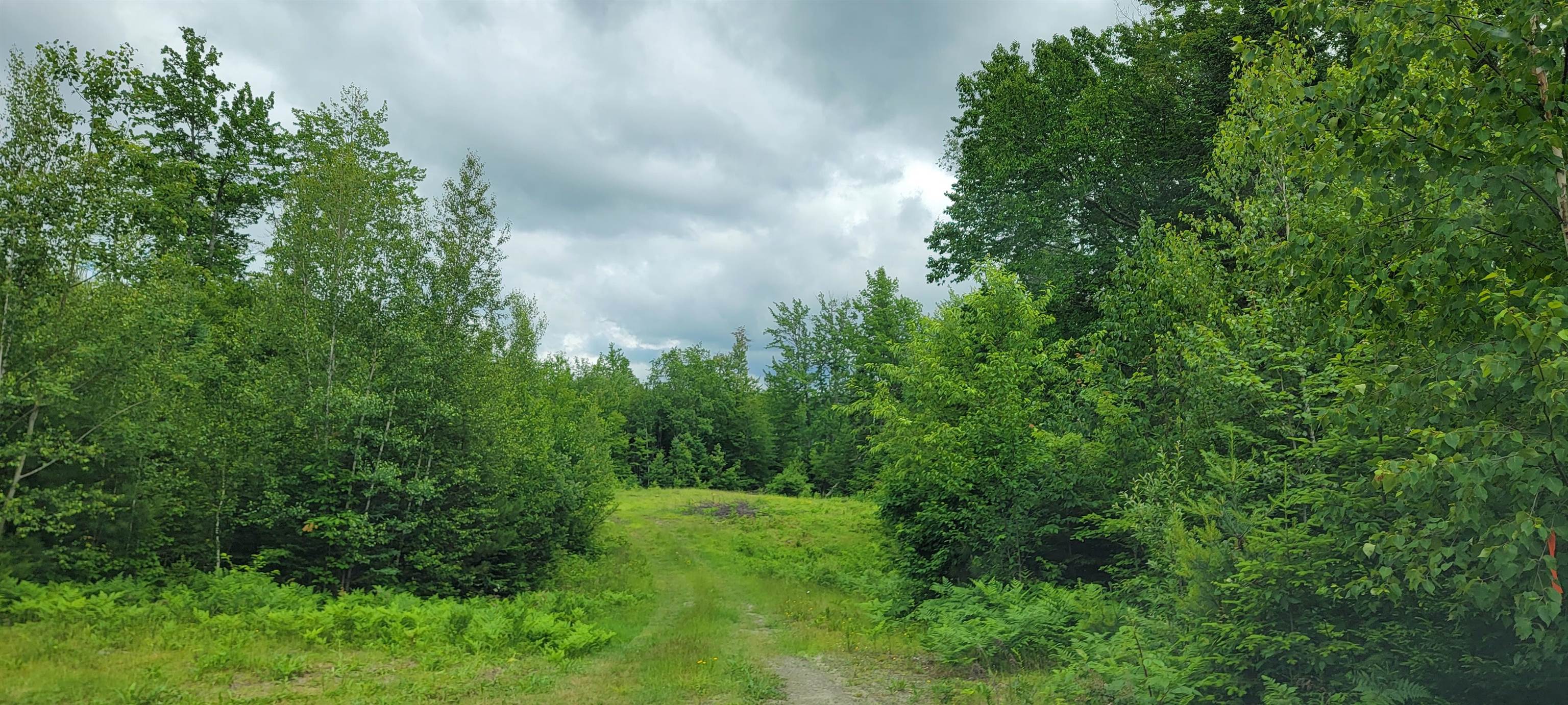 Lot 12.1 Gene's Road Whitefield, NH 03598 - Photo 1 of 38