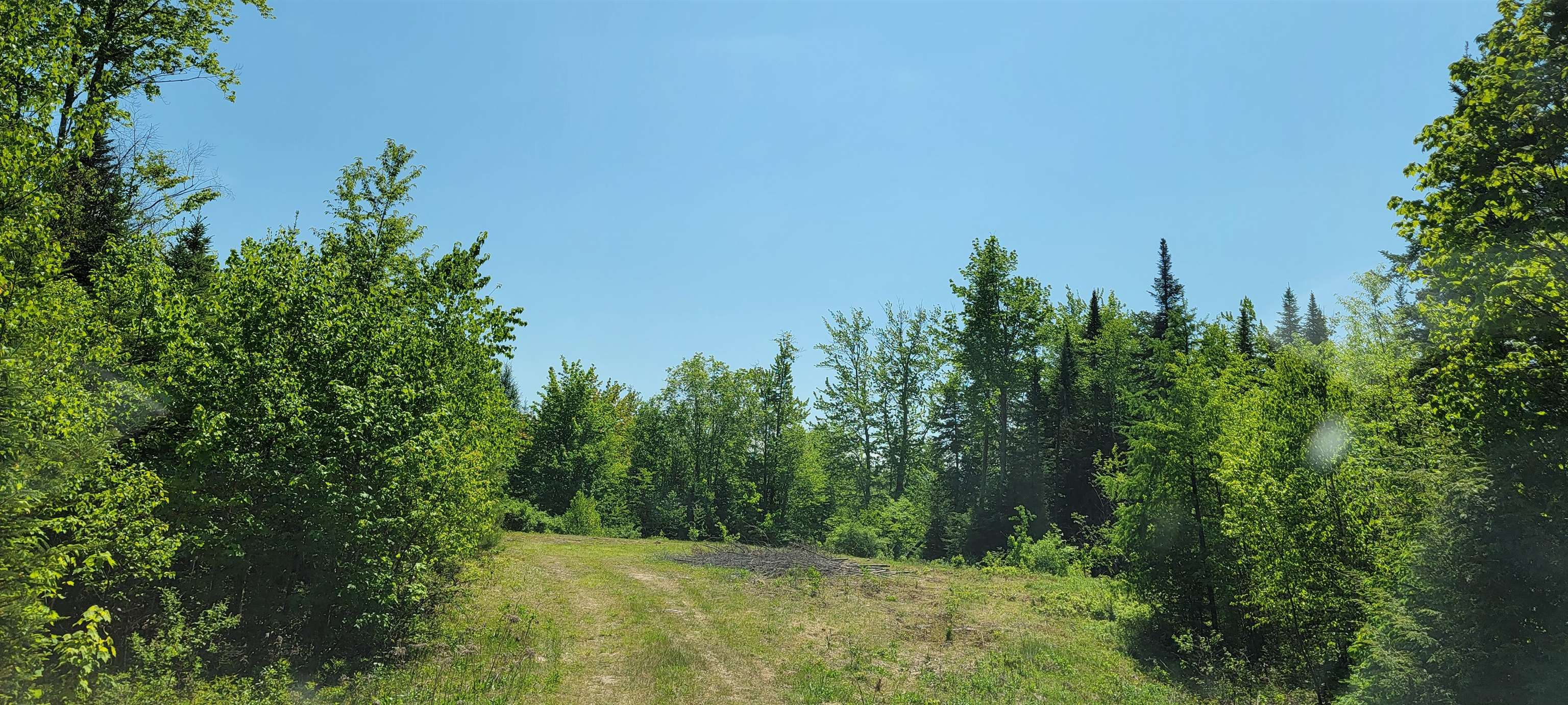 Lot 12.1 Gene's Road Whitefield, NH 03598 - Photo 16 of 38