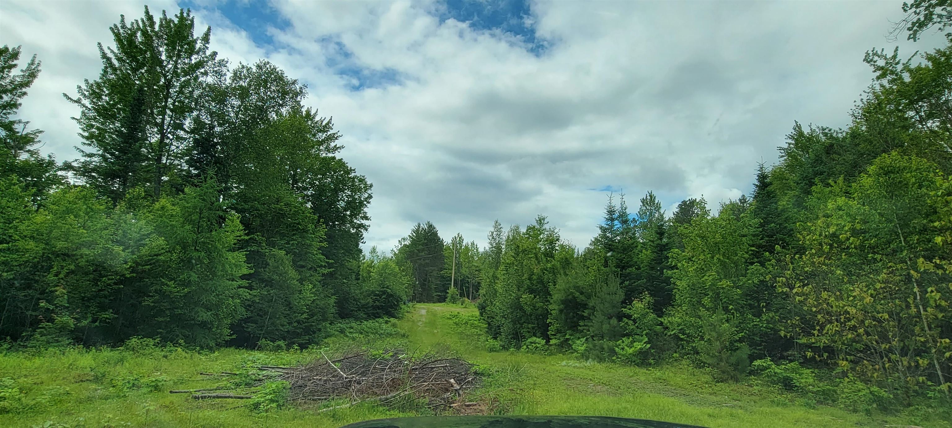 Lot 12.1 Gene's Road Whitefield, NH 03598 - Photo 17 of 38
