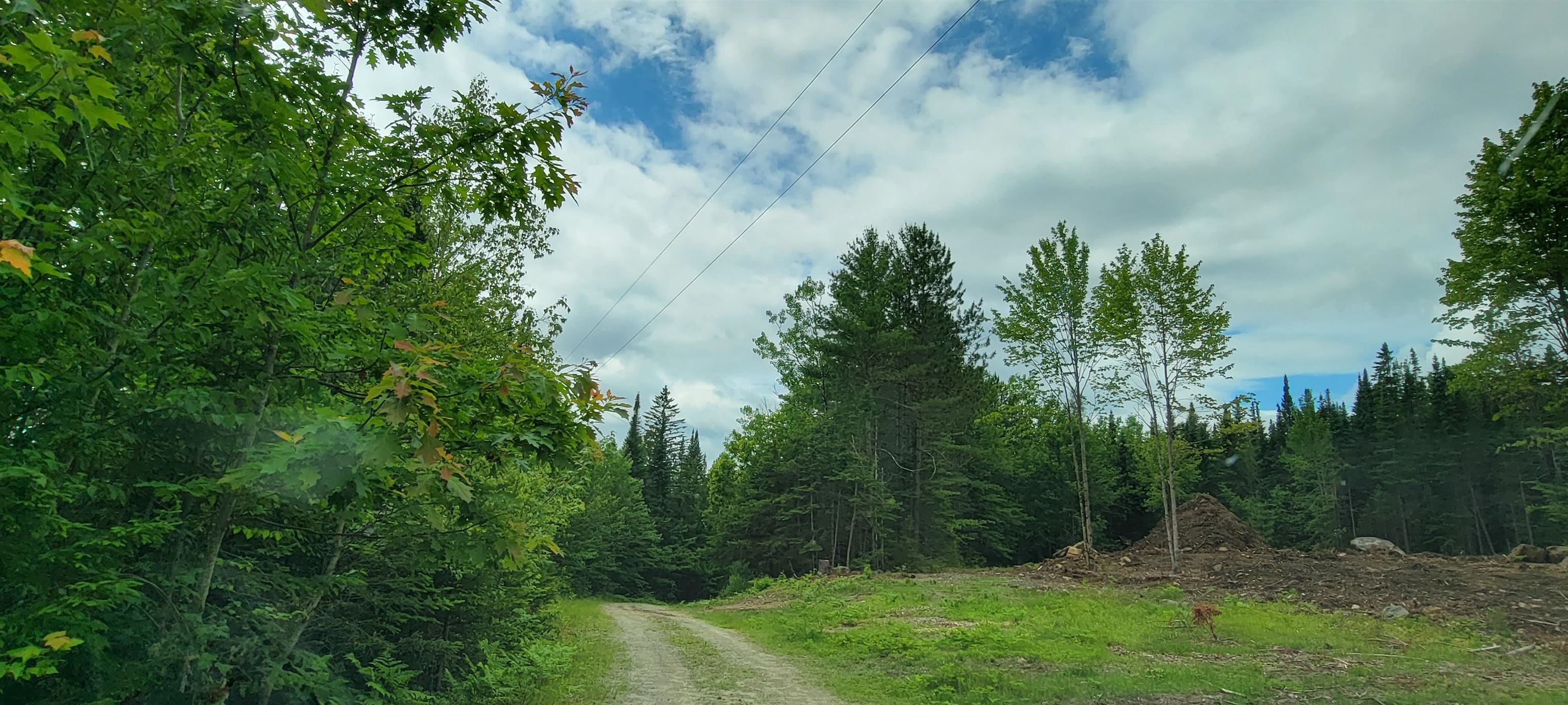 Lot 12.1 Gene's Road Whitefield, NH 03598 - Photo 18 of 38