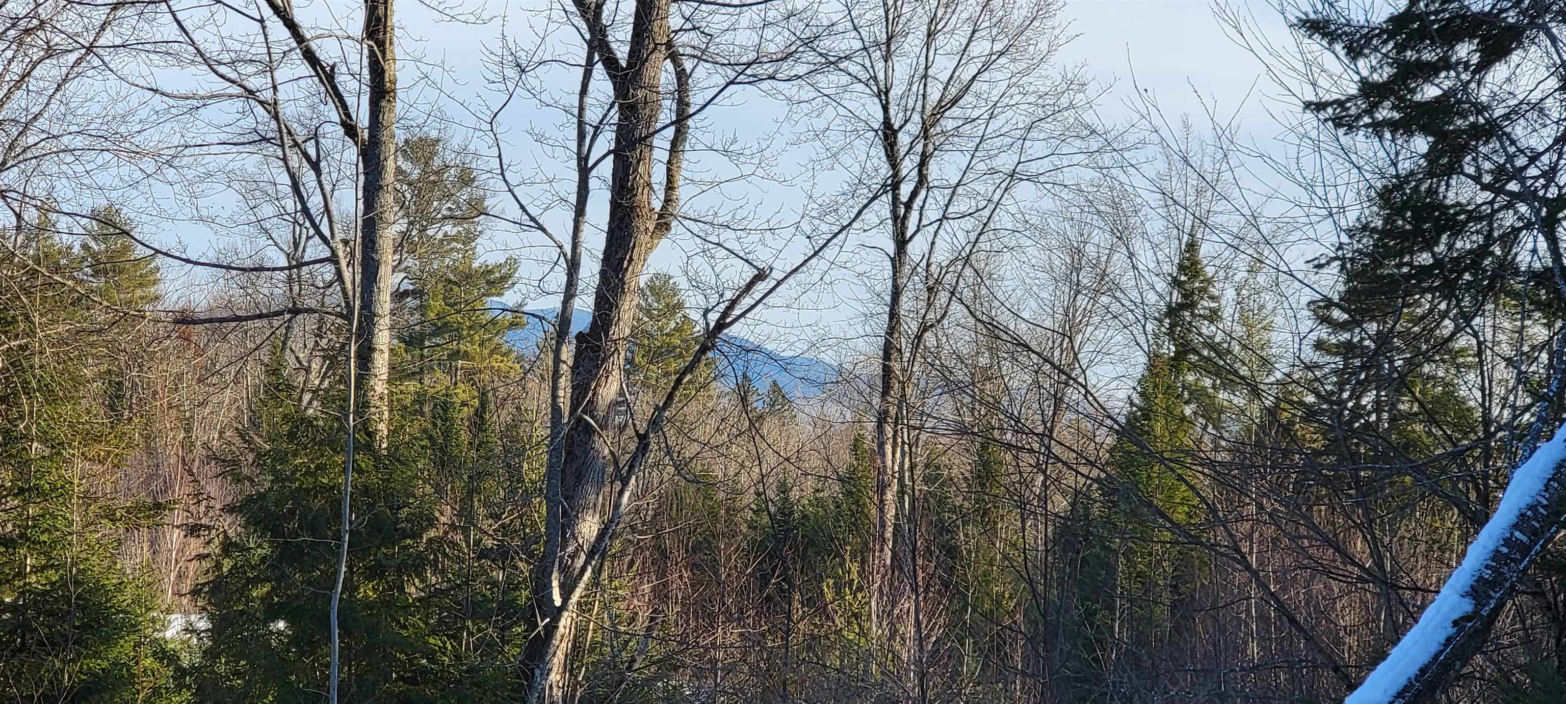 Lot 12.1 Gene's Road Whitefield, NH 03598 - Photo 26 of 38
