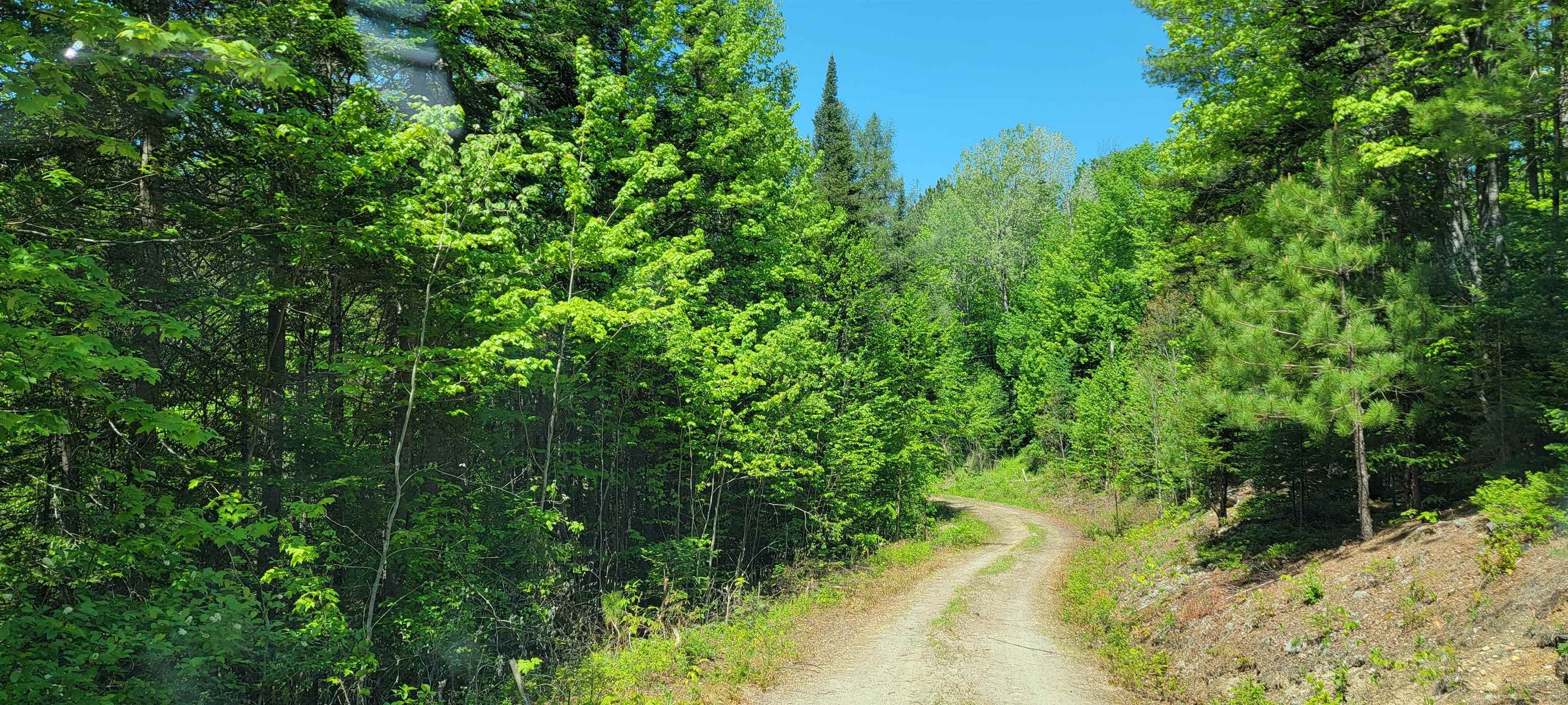 Lot 12.1 Gene's Road Whitefield, NH 03598 - Photo 3 of 38