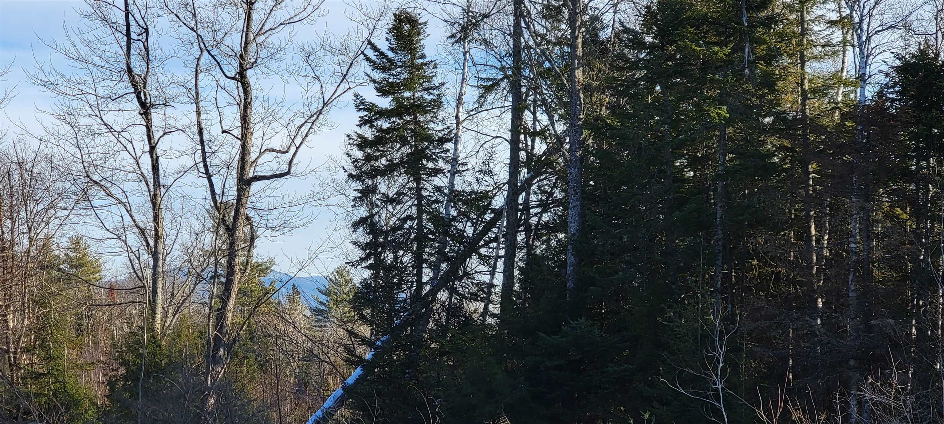 Lot 12.1 Gene's Road Whitefield, NH 03598 - Photo 31 of 38